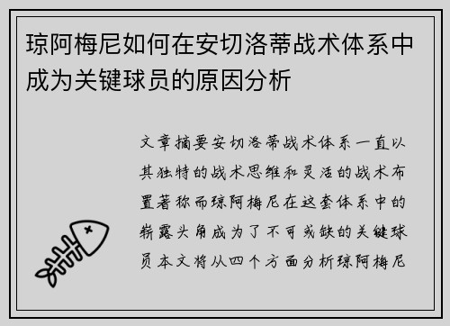 琼阿梅尼如何在安切洛蒂战术体系中成为关键球员的原因分析